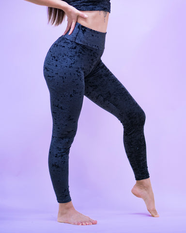 Lioness Leggings Velvet Black